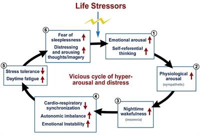 Harnessing the Spatial Foundation of Mind in Breaking Vicious Cycles in Anxiety, Insomnia, and Depression: The Future of Virtual Reality Therapy Applications